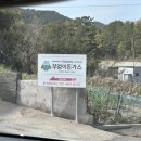 127 | 거제 하청 [부엉이돈가스] 방문후기 | 부엉이킹돈 | 스노우치즈돈가스