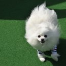 카페반