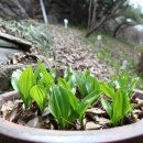 들꽃나라농장 이미지