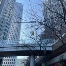 삼천리자전거신정 | 다들 머리조심; 제 주간일기 지나갑니다ㅋ