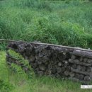 신군관식당 이미지