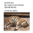홀리몰리 이미지