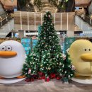 오늘의뽑기 | (대구 중구)랜덤뽑기로 즐거운 캡슐머신과 귀여운 굿즈로 뒤덮힌 더현대대구팝업 "오늘의귀여움" 후기