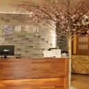 시청해우리 이미지