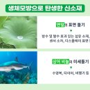 자연을뜨다