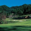 크리스탈 골프 이미지