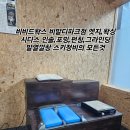비비드왁스