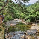 대원사계곡 이미지