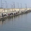 청호동 방파제 이미지