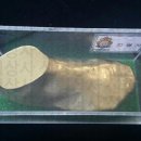 선형상사 이미지