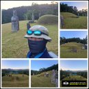 무연분묘 위탁 공고대행과 개장허가 후기!!! 이미지