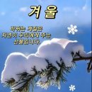 백석역 Daum카페