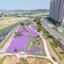 영천강변공원 공중화장실(1) 이미지