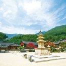 38야영장 이미지