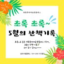 롯데공인중개사사무소 | [일상] 초록으로 물든 영통롯데캐슬엘클래스 1단지, 5월의 산책 기록🌿