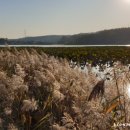 보통리 저수지 2 이미지