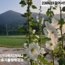 벌교태인 이미지