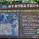 금강솔바람길 이미지