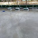 봉선중학교 이미지