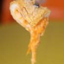 남매분식 이미지