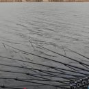 선두포낚시터 이미지