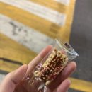 원바레N필라테스