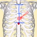 일반인 심폐소생술 표준 교육 프로그램(심화과정) | 심폐소생술에 대한 모든 것 심장 압박 위치 순서 방법 횟수와 꼭 익혀야 하는 이유