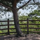 산사랑 - 울진군 | 산사랑