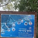 미르마루 Daum카페
