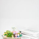 정원병설유치원 이미지