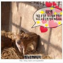 명준농장 이미지