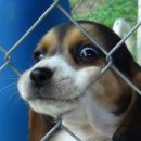 왕초보이모티콘만들기 이미지