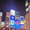 사누키우동 | 오사카 우동 맛집 타마타마 신사이바시 쫄깃한 사누키 우동 전문점 실제 후기