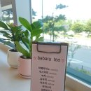 바바라헤어 이미지