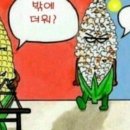 메이드가라오케 이미지