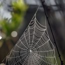 스마트시니어스튜디오 이미지