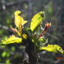 홍주목장 이미지