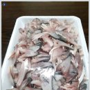 기흥전어 꼬들꼬들 제철 맞이 전어회가 일품! 활주로수산