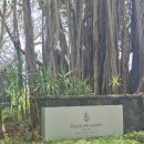 포시즌셔츠 | [신혼여행] 모리셔스 포시즌 아나히타 리조트 가든풀빌라 리모델링 허니문 후기