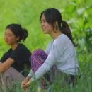 자매민박 이미지