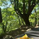 쉼터김밥 이미지