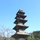 신룡동 오층 석탑 이미지