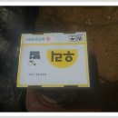 친환경 토마토 이미지