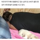 술먹방 중 강아지 압사시킨 아프리카 BJ (움짤주의) 이미지