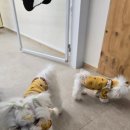 씨유양산물금점 | 양산 증산 속눈썹펌 잘하는곳 하랑뷰티라운지