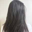 광화문이층약국 | AVEDA 아베다 클리닉 광화문미용실 천연성분으로 머릿결 손상 복구한 파인트리 헤어살롱 서대문역점