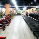 나이스휘트니스 이미지