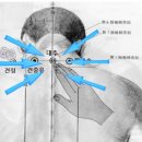 수지스포츠 이미지