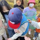 가납초 | 우리들자연학교 10월 21일 가납초교 1학년 체험학습 수업후기