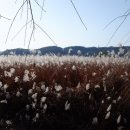 창녕 남지 개비리 이미지